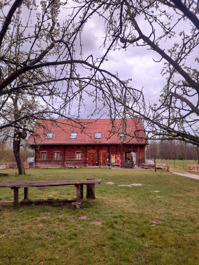 부르크 Liljas Haus Im Spreewald 아파트 외부 사진