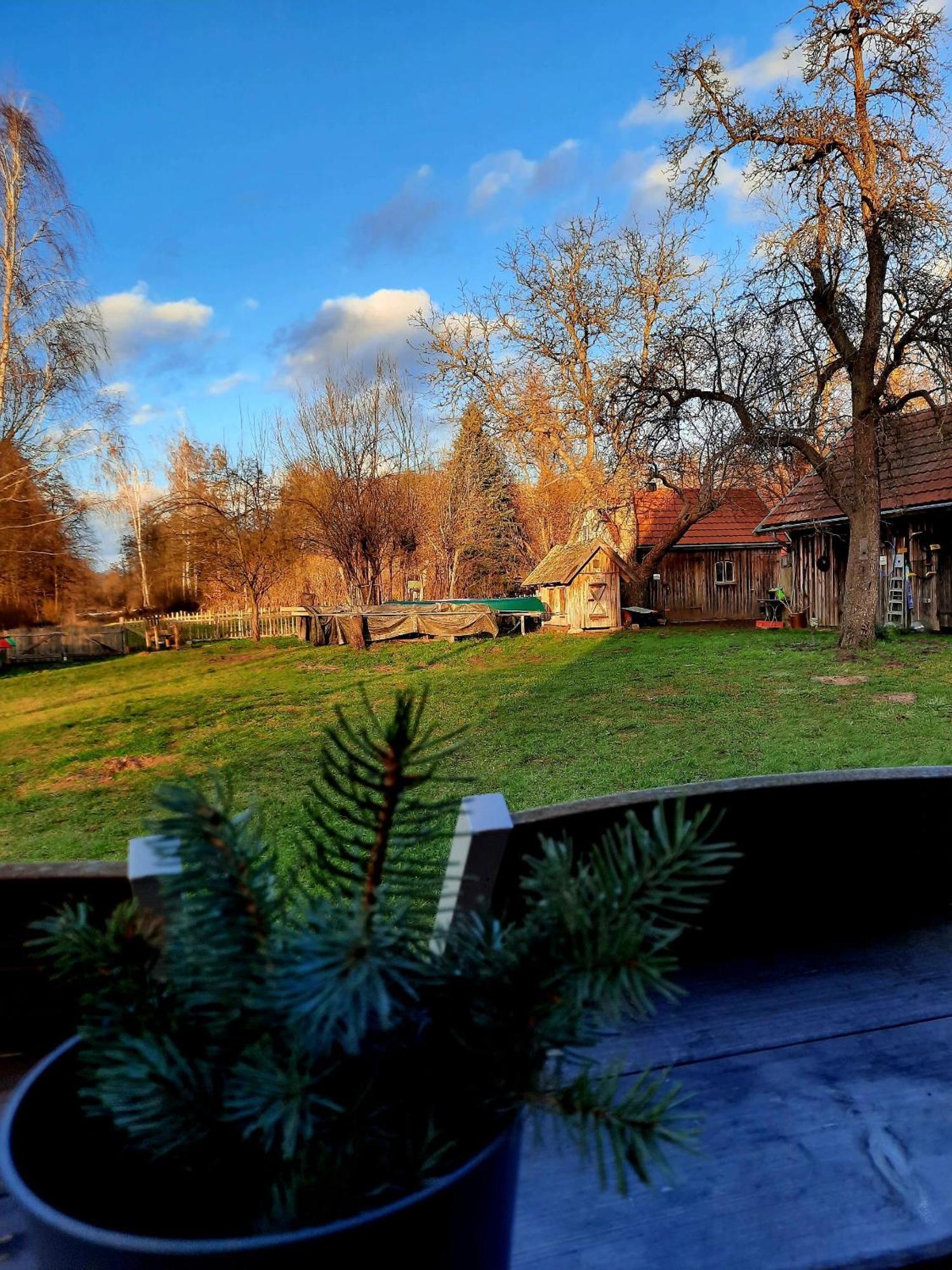 부르크 Liljas Haus Im Spreewald 아파트 외부 사진