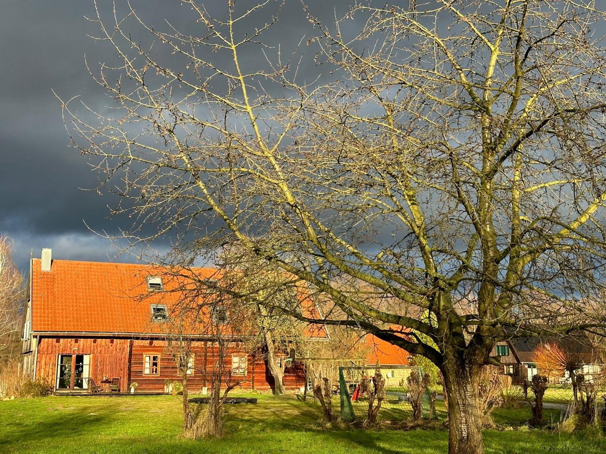 부르크 Liljas Haus Im Spreewald 아파트 외부 사진